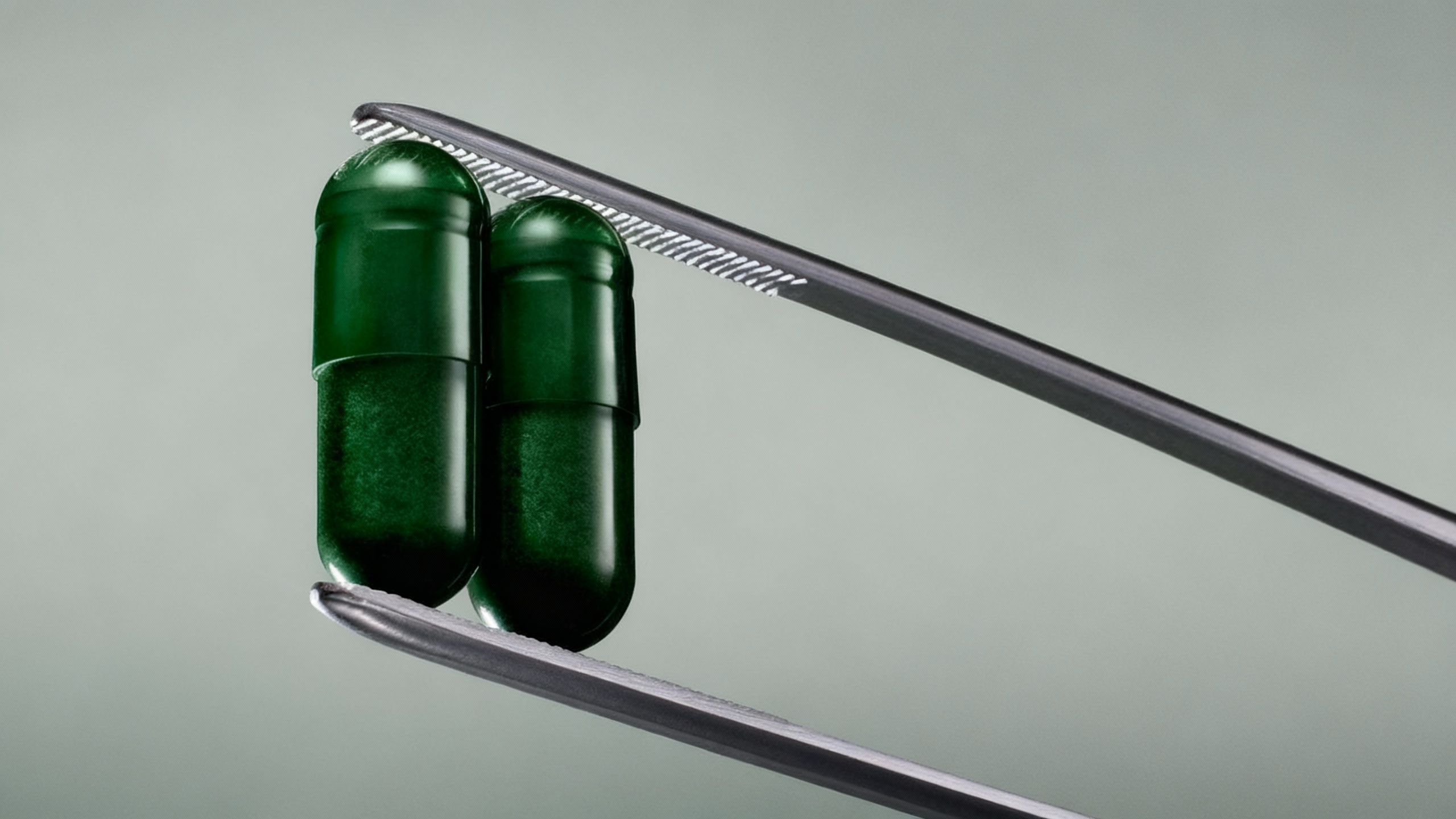 332447db-051e-4888-ac51-1dd7bca6a6de