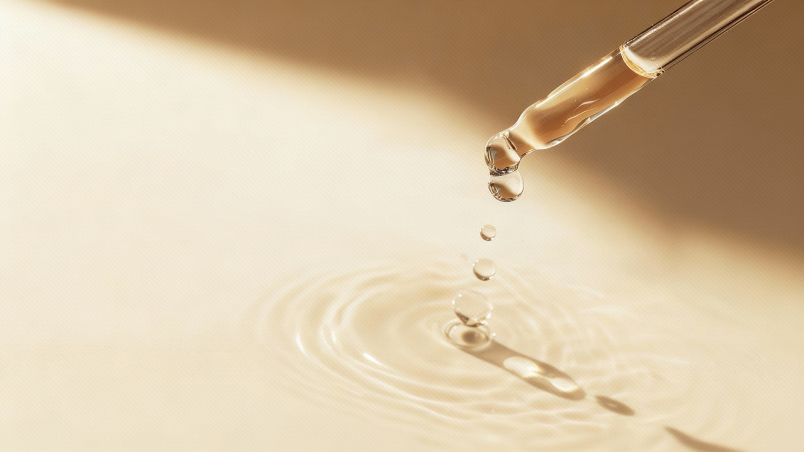 59acb94b-ded7-462c-95df-c129fca46863 (1)