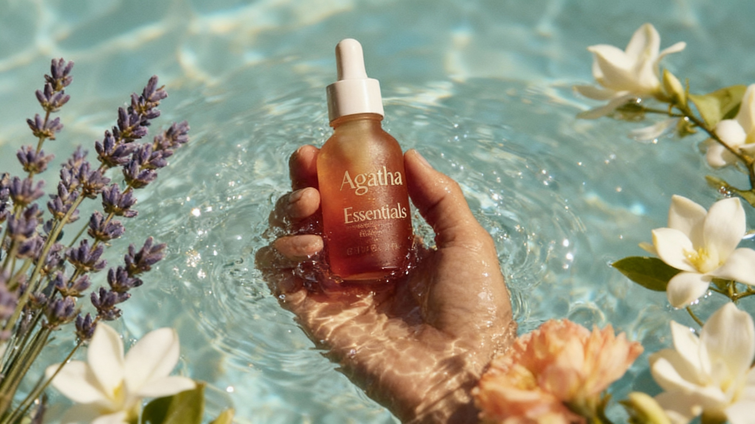 7ff24381-4847-4ee2-8f81-bd84e92db48a